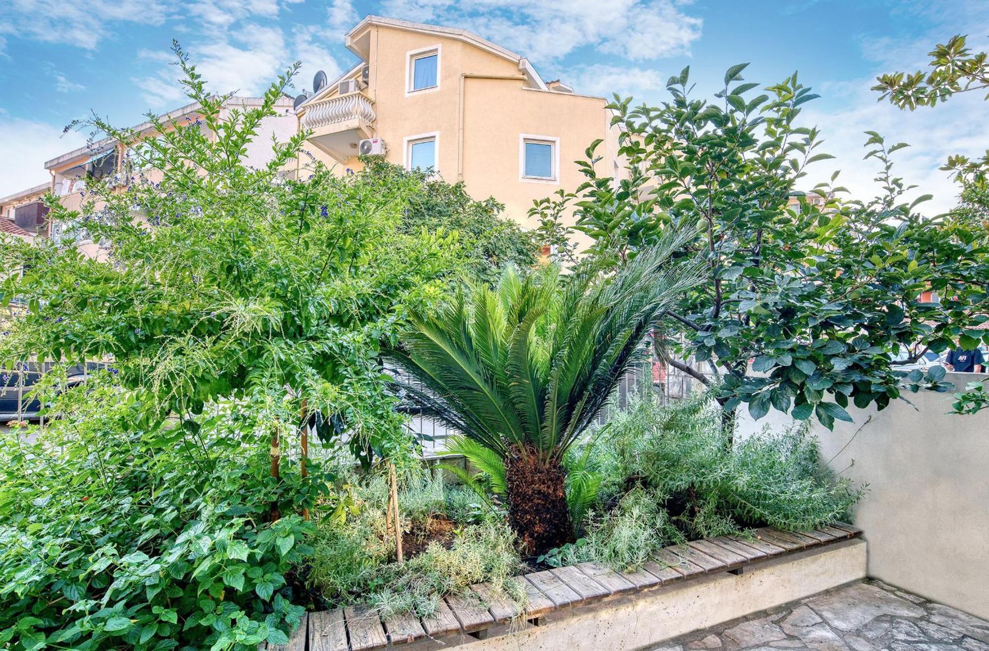 בודווה Sun Guest House מראה חיצוני תמונה